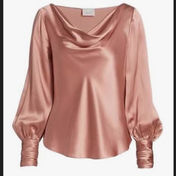 NWT Cinq à Sept Taylee Silk Blouse M - Picture 1 of 11